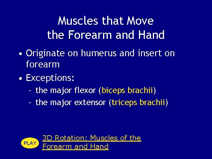 Muscles that Move the Forearm and Hand • Originate on humerus and insert on