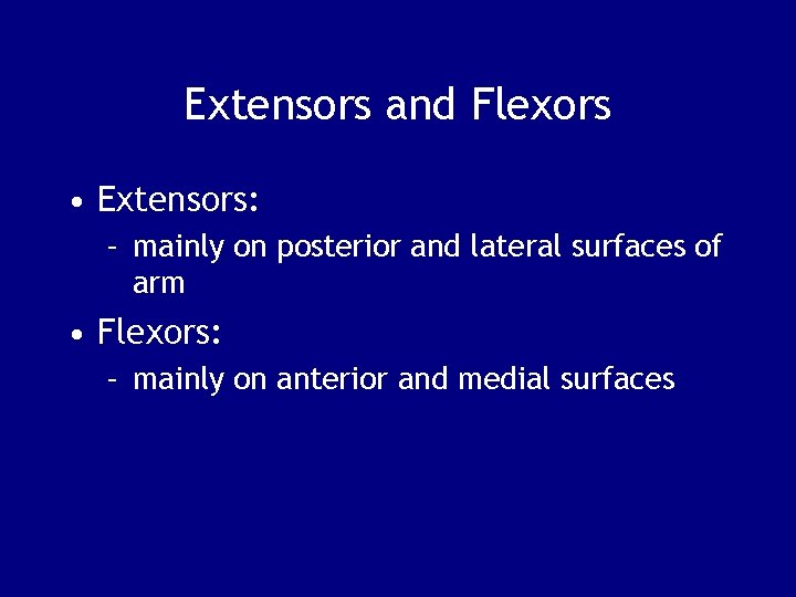 Extensors and Flexors • Extensors: – mainly on posterior and lateral surfaces of arm