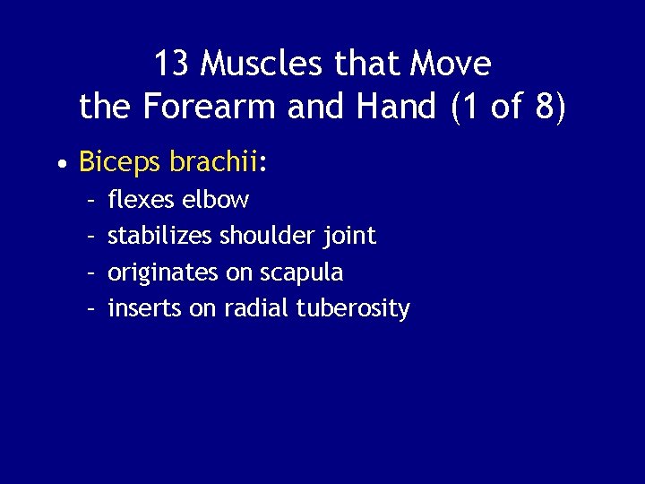 13 Muscles that Move the Forearm and Hand (1 of 8) • Biceps brachii: