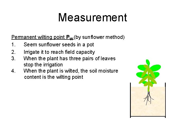 Measurement Permanent wilting point PW (by sunflower method) 1. Seem sunflower seeds in a