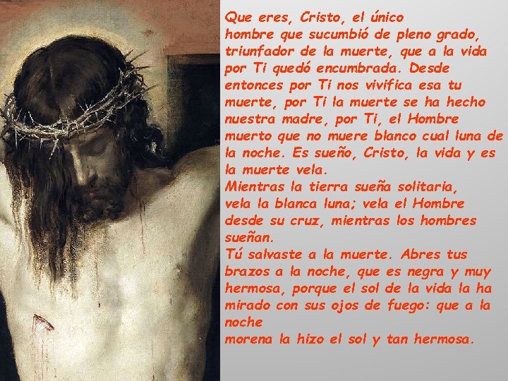 Que eres, Cristo, el único hombre que sucumbió de pleno grado, triunfador de la