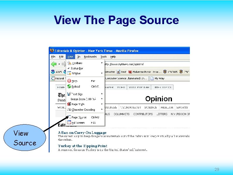 View The Page Source View Source 29 