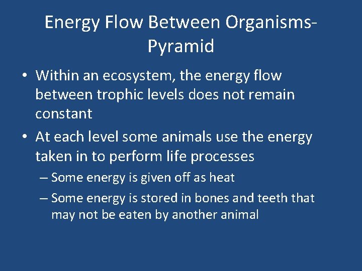 Energy Flow Between Organisms. Pyramid • Within an ecosystem, the energy flow between trophic