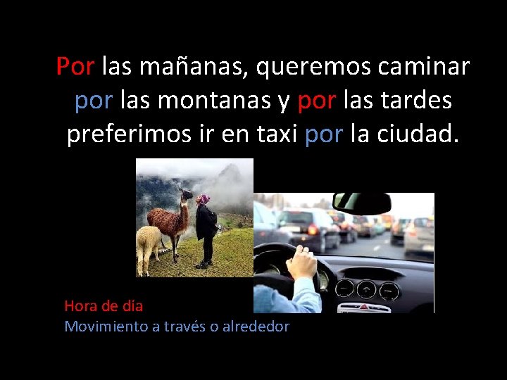 Por las mañanas, queremos caminar por las montanas y por las tardes preferimos ir