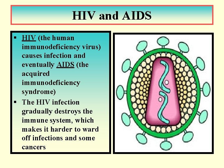 HIV and AIDS § HIV (the human immunodeficiency virus) causes infection and eventually AIDS