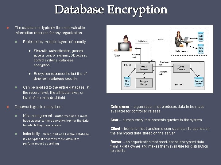 Database Encryption The database is typically the most valuable information resource for any organization