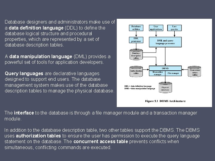 Database designers and administrators make use of a data definition language (DDL) to define