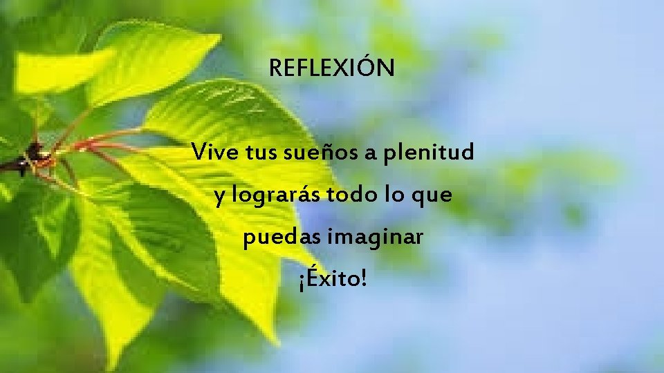 REFLEXIÓN Vive tus sueños a plenitud y lograrás todo lo que puedas imaginar ¡Éxito!