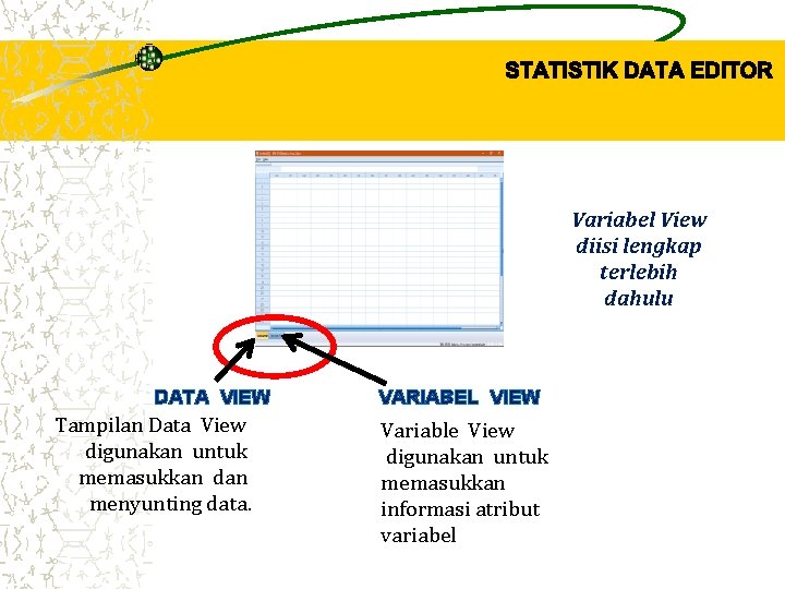 Variabel View diisi lengkap terlebih dahulu DATA VIEW Tampilan Data View digunakan untuk memasukkan Variabel View diisi lengkap terlebih dahulu DATA VIEW Tampilan Data View digunakan untuk memasukkan