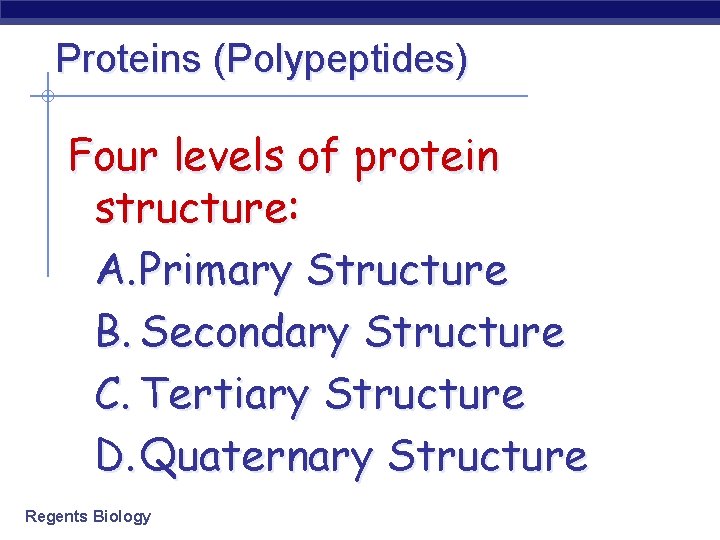 Proteins (Polypeptides) Four levels of protein structure: A. Primary Structure B. Secondary Structure C.