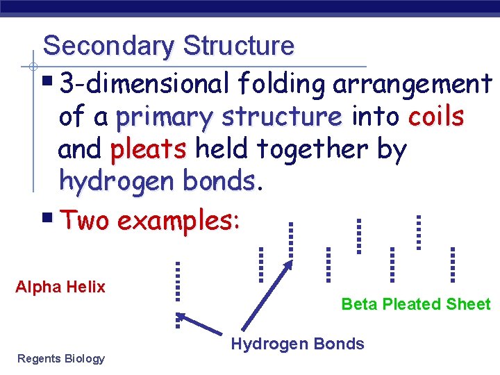 Secondary Structure § 3 -dimensional folding arrangement of a primary structure into coils and