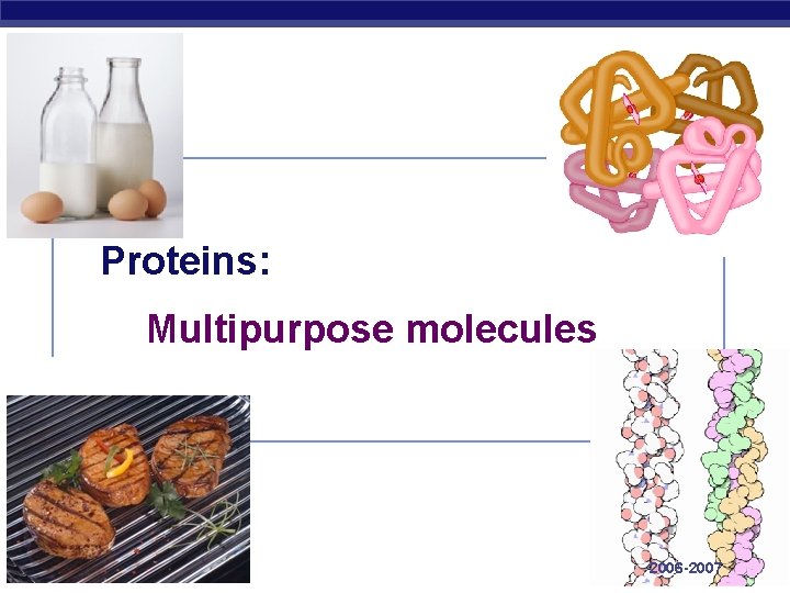 Proteins: Multipurpose molecules Regents Biology 2006 -2007 