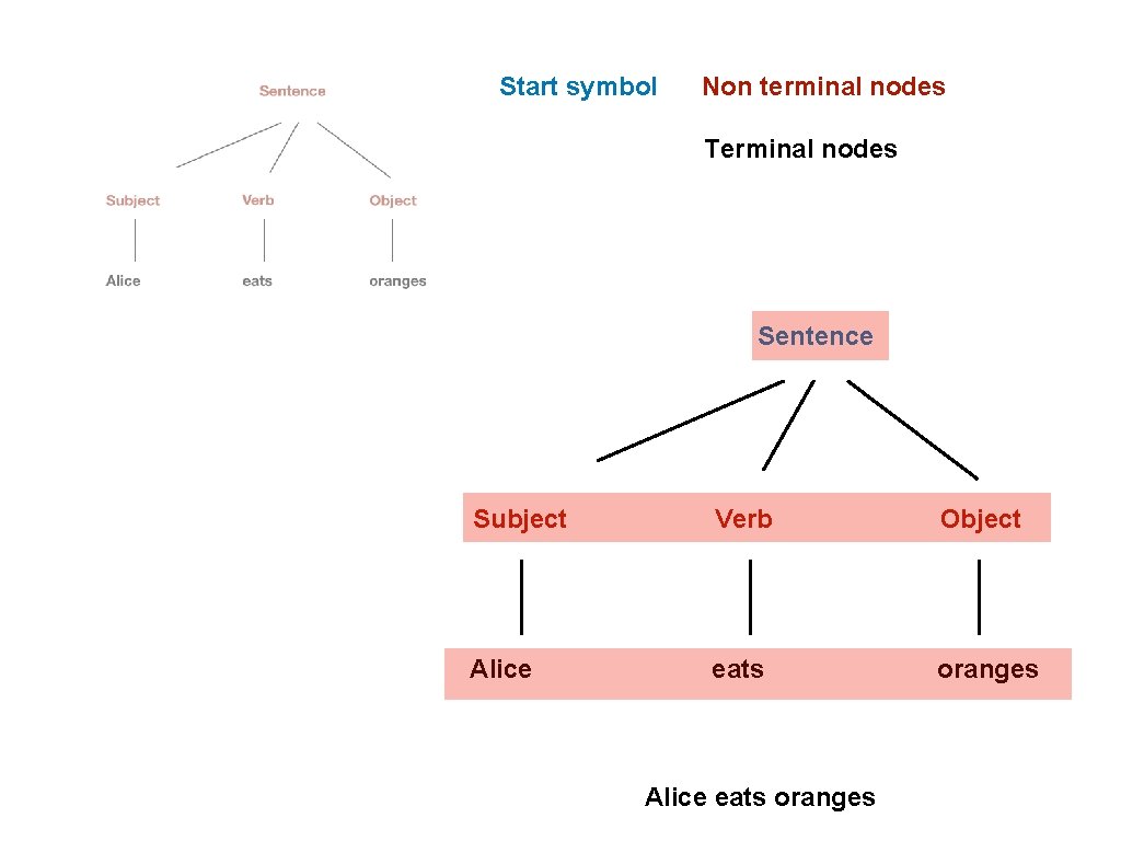 Start symbol Non terminal nodes Terminal nodes Sentence Subject Verb Object Alice eats oranges