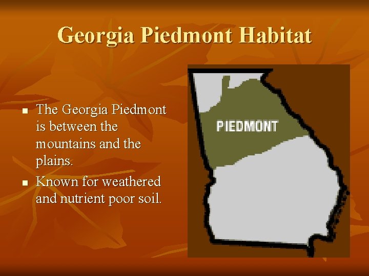 Georgia Piedmont Habitat n n The Georgia Piedmont is between the mountains and the