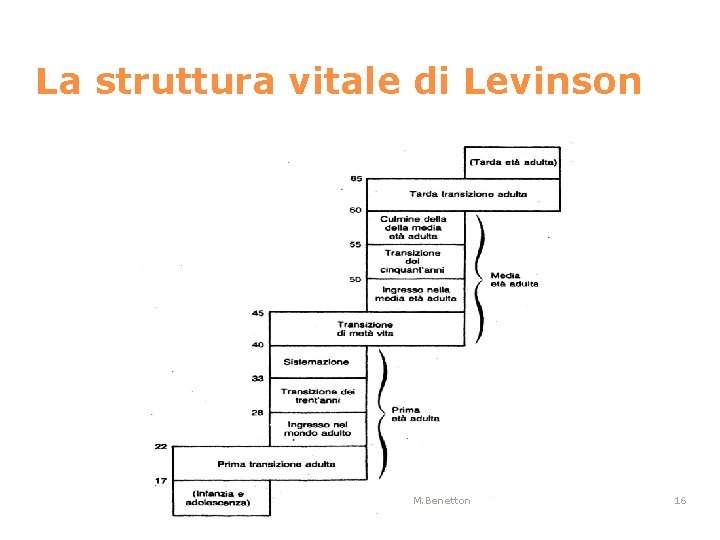 La struttura vitale di Levinson M. Benetton 16 