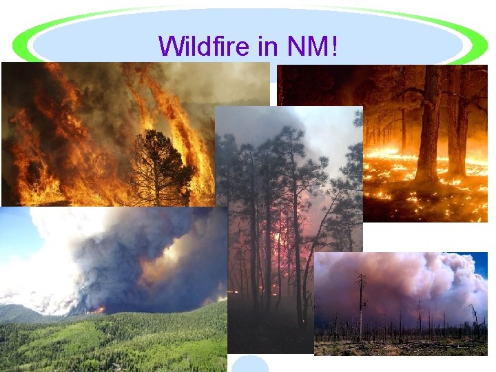 Wildfire in NM! 