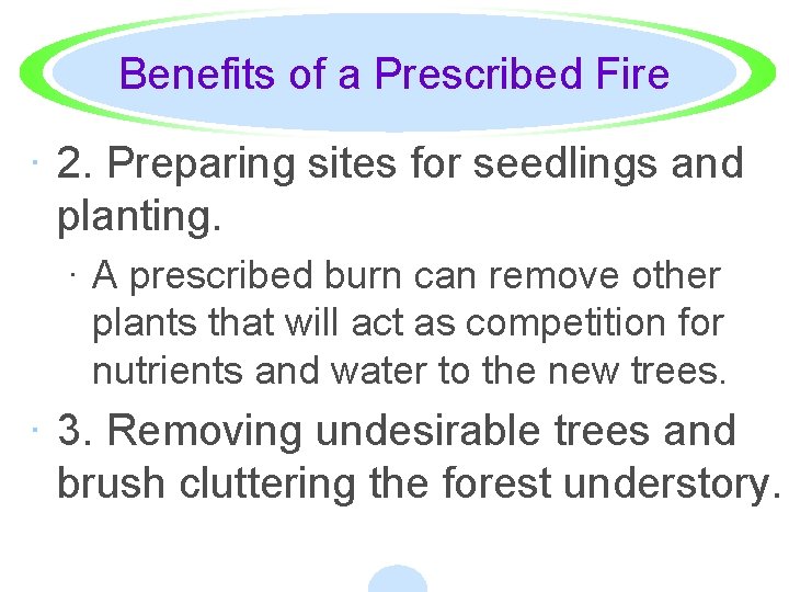 Benefits of a Prescribed Fire · 2. Preparing sites for seedlings and planting. ·