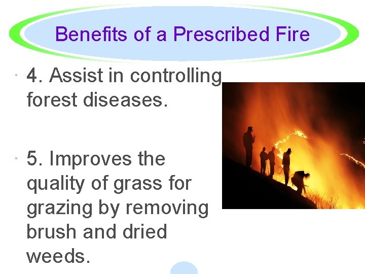 Benefits of a Prescribed Fire · 4. Assist in controlling forest diseases. · 5.