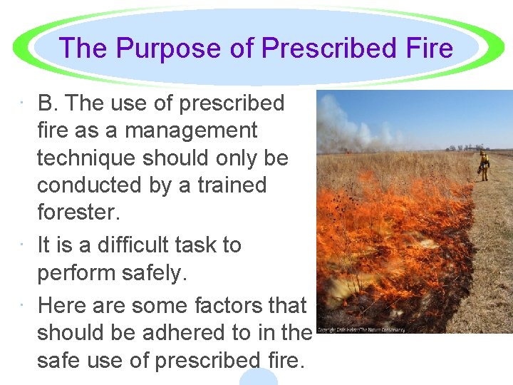 The Purpose of Prescribed Fire · B. The use of prescribed fire as a