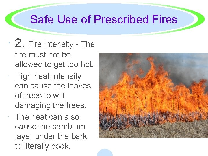 Safe Use of Prescribed Fires · 2. Fire intensity - The fire must not
