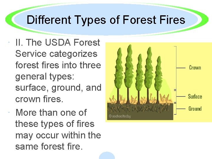 Different Types of Forest Fires · II. The USDA Forest Service categorizes forest fires