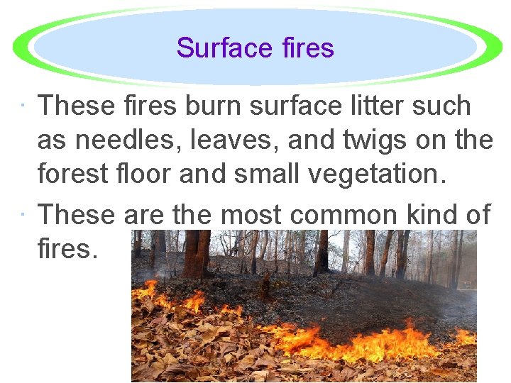 Surface fires · These fires burn surface litter such as needles, leaves, and twigs