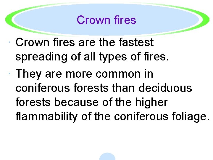 Crown fires · Crown fires are the fastest spreading of all types of fires.
