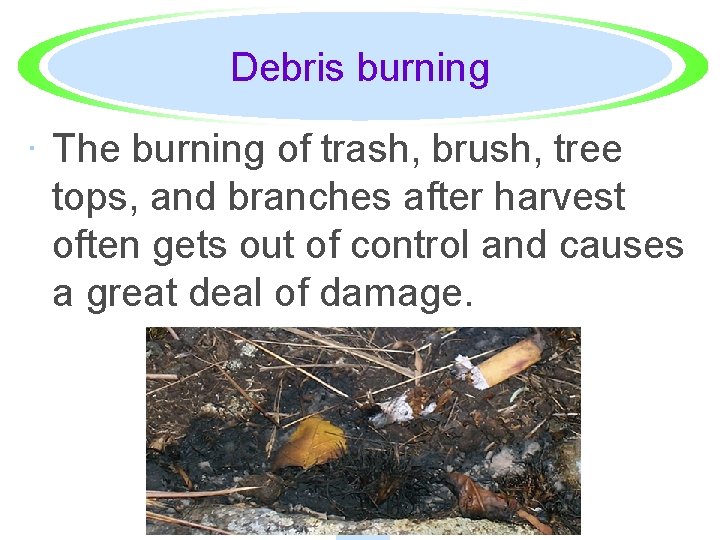 Debris burning · The burning of trash, brush, tree tops, and branches after harvest