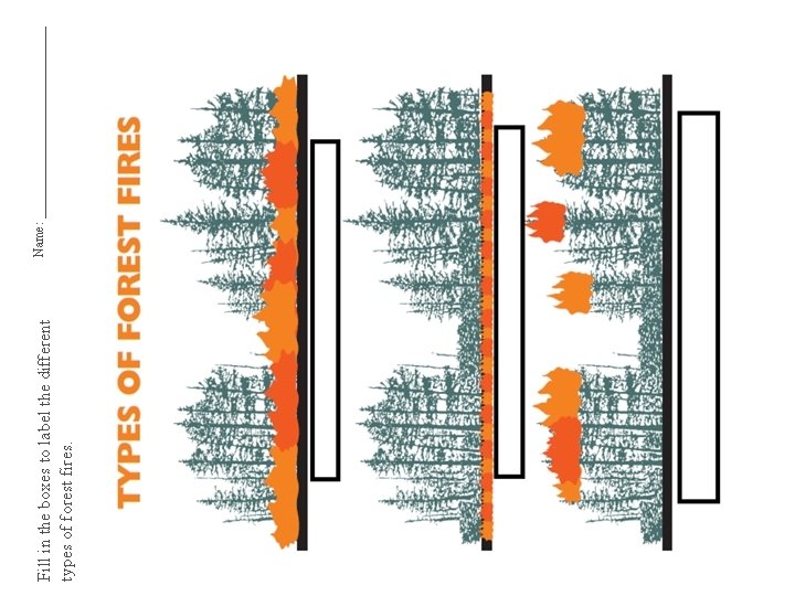 Fill in the boxes to label the different types of forest fires. Name: _______________