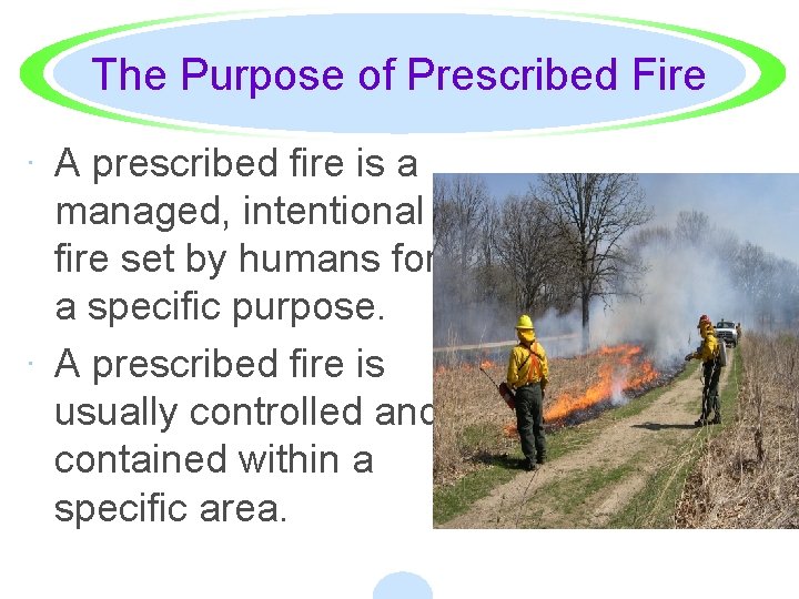 The Purpose of Prescribed Fire · A prescribed fire is a managed, intentional fire