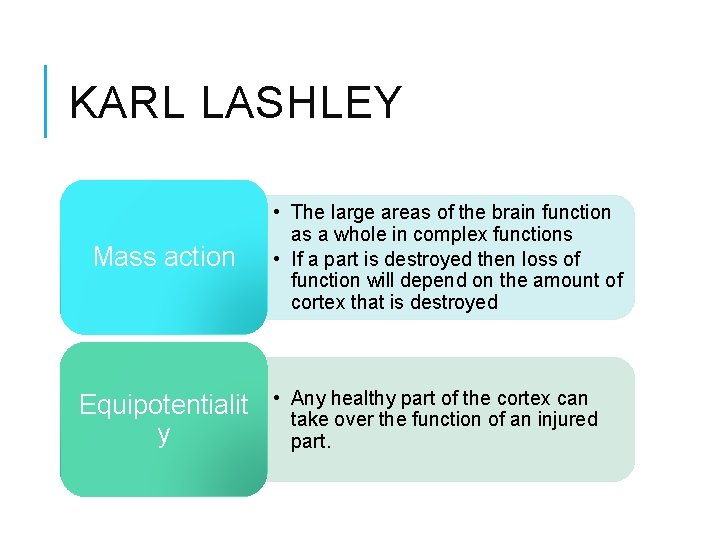 KARL LASHLEY Mass action Equipotentialit y • The large areas of the brain function