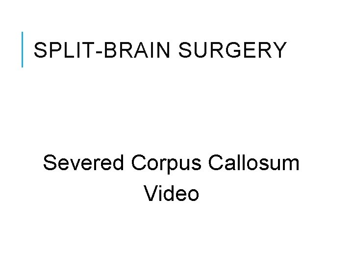 SPLIT-BRAIN SURGERY Severed Corpus Callosum Video 