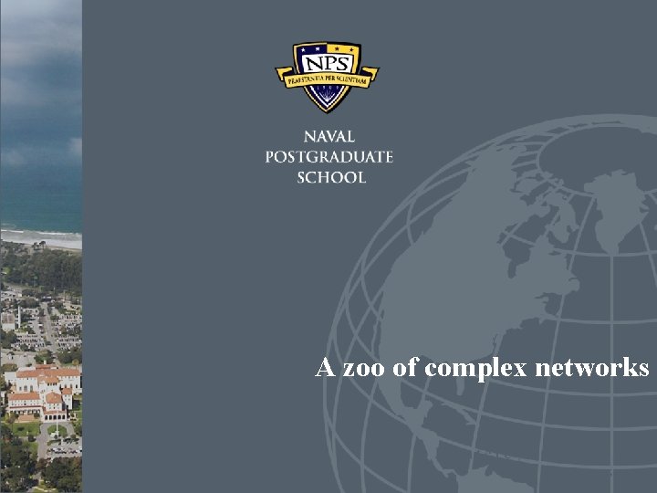 A zoo of complex networks A zoo of complex networks