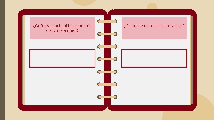 ¿Cuál es el animal terrestre más veloz del mundo? ¿Cómo se camufla el camaleón?