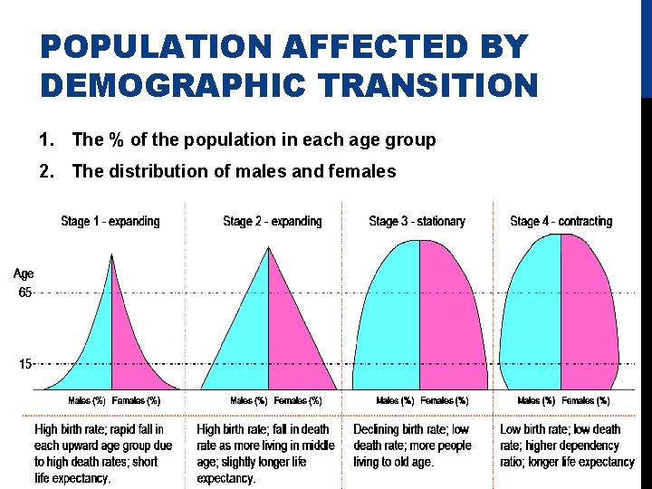 POPULATION AFFECTED BY DEMOGRAPHIC TRANSITION 1. The % of the population in each age