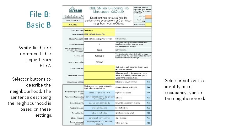 File B: Basic B White fields are non-modifiable copied from File A Selector buttons