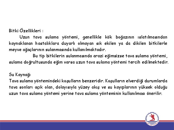 Bitki Özellikleri : Uzun tava sulama yöntemi, genellikle kök boğazının ıslatılmasından kaynaklanan hastalıklara duyarlı