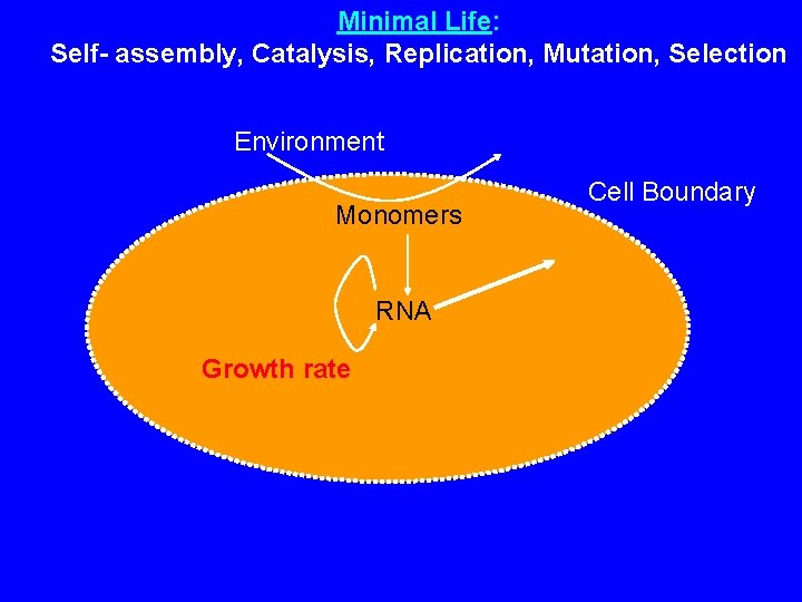 Minimal Life: Self- assembly, Catalysis, Replication, Mutation, Selection Environment Monomers RNA Growth rate Cell