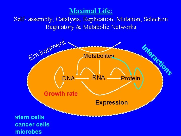 Maximal Life: Self- assembly, Catalysis, Replication, Mutation, Selection Regulatory & Metabolic Networks te Metabolites