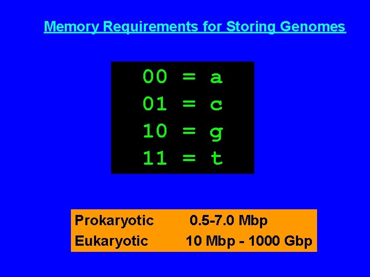 Memory Requirements for Storing Genomes 00 01 10 11 Prokaryotic Eukaryotic = = a