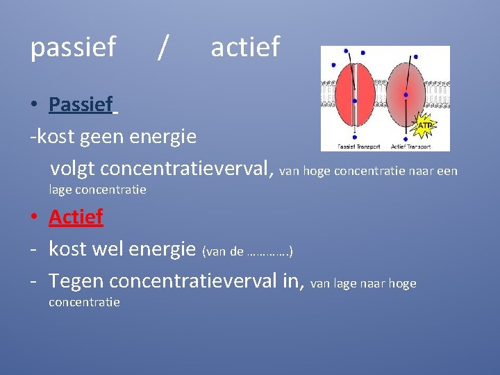 passief / actief • Passief -kost geen energie volgt concentratieverval, van hoge concentratie naar