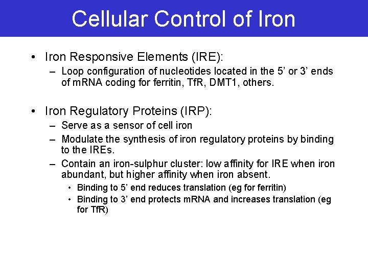Cellular Control of Iron • Iron Responsive Elements (IRE): – Loop configuration of nucleotides