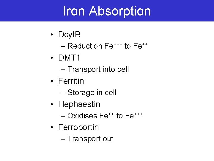 Iron Absorption • Dcyt. B – Reduction Fe+++ to Fe++ • DMT 1 –
