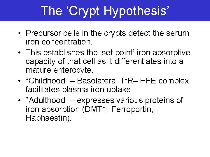 The ‘Crypt Hypothesis’ • Precursor cells in the crypts detect the serum iron concentration.
