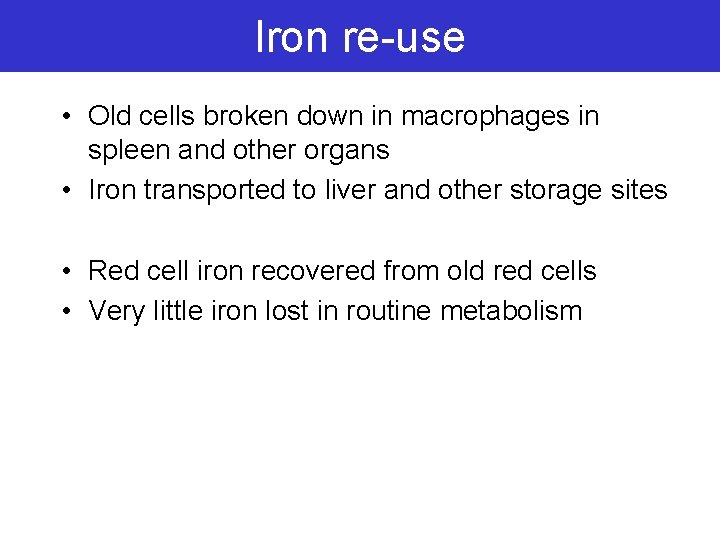 Iron re-use • Old cells broken down in macrophages in spleen and other organs