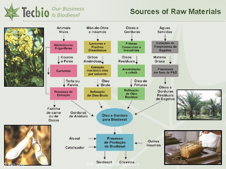 Sources of Raw Materials 20 May, 2006 Eastern Biofuel Conference Biodiesel in the Plural