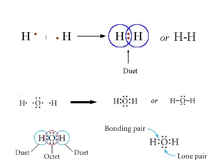 or Duet or H-H 