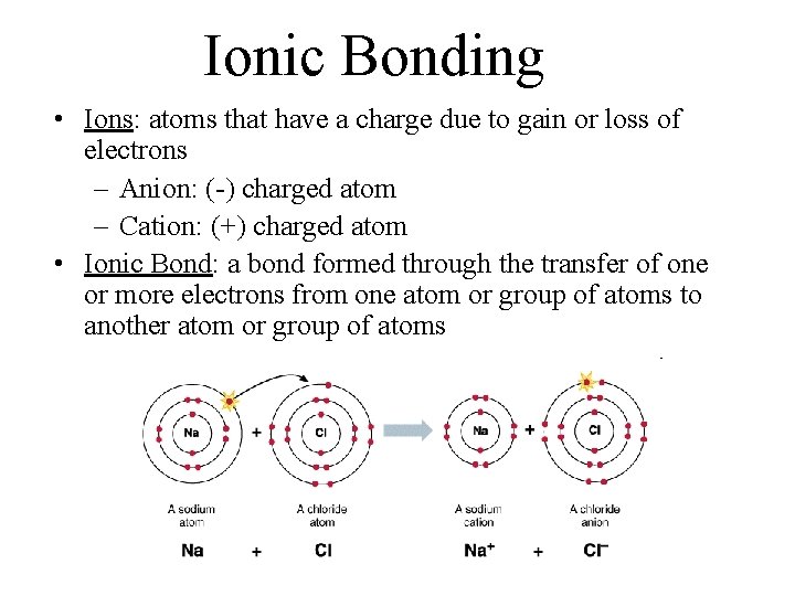 Ionic Bonding • Ions: atoms that have a charge due to gain or loss