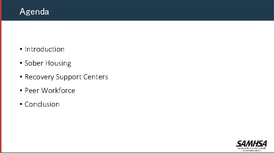 Agenda • Introduction • Sober Housing • Recovery Support Centers • Peer Workforce •