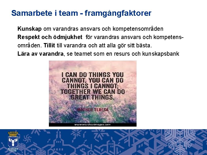 Samarbete i team - framgångfaktorer Kunskap om varandras ansvars och kompetensområden Respekt och ödmjukhet